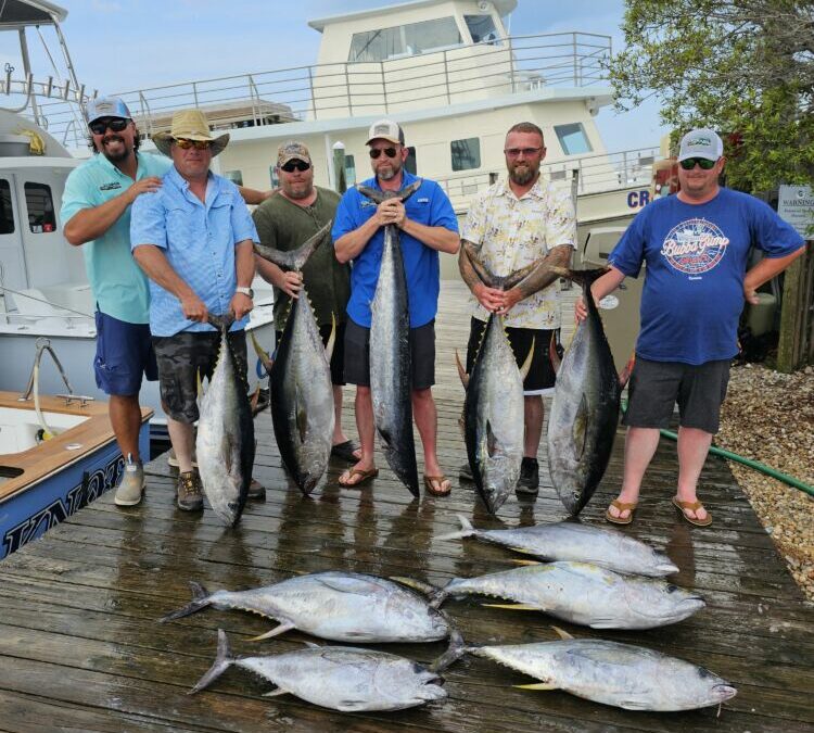 Wednesday’s Catch