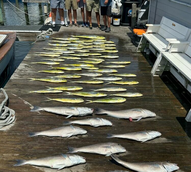 Fish Taco Tuesday!