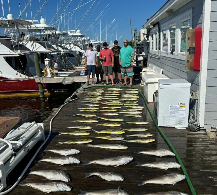 Wednesday’s Catch!