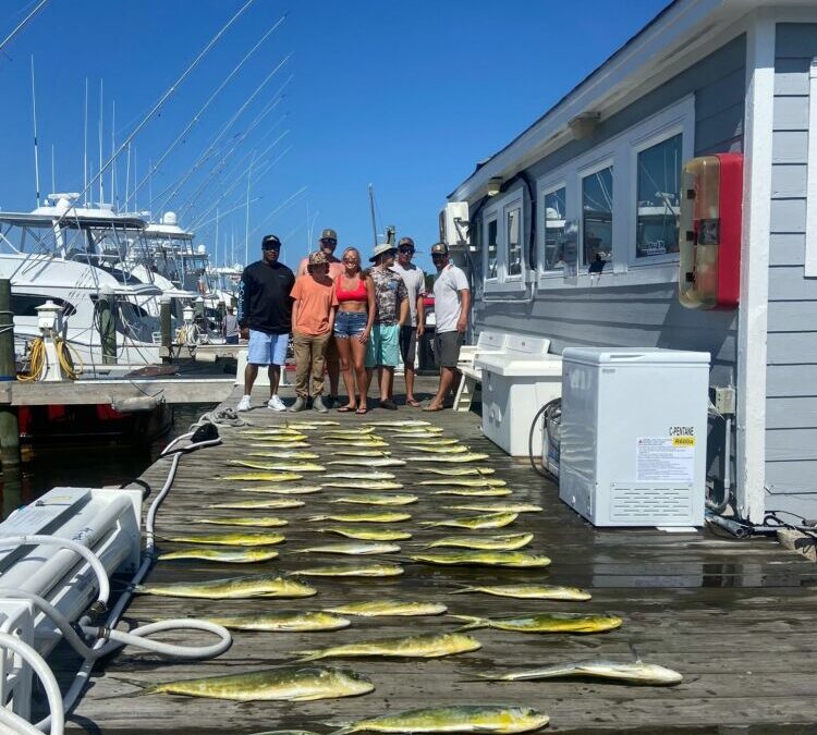 Monday Full of Mahi!