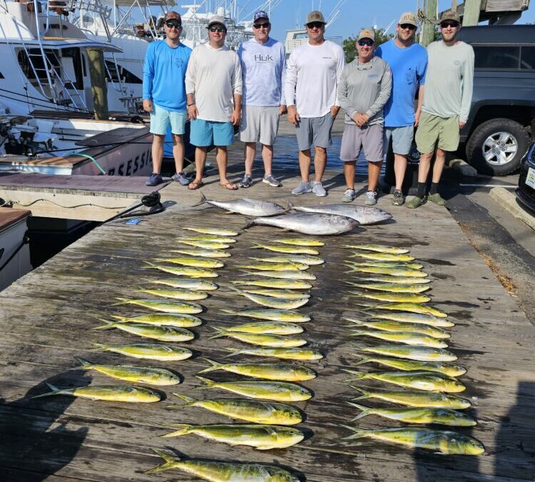 Fish Taco Tuesday