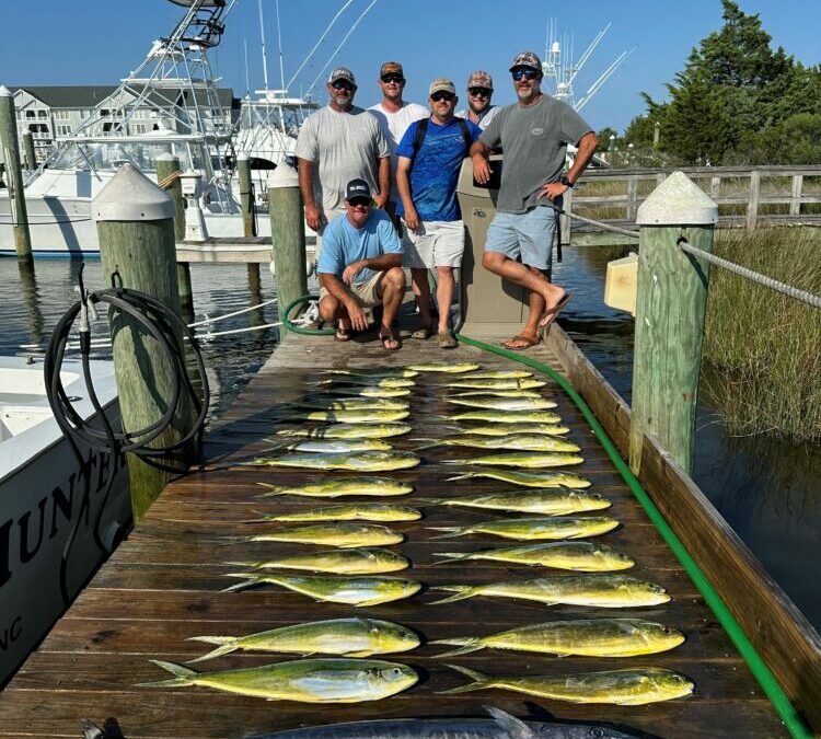 Mixed Bag!
