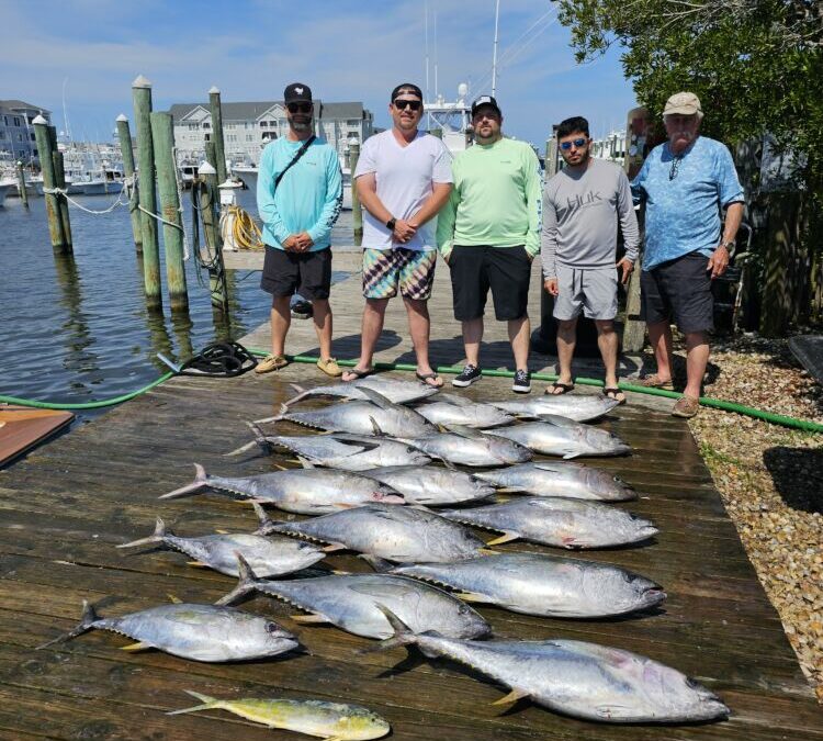 Mixed Bag Wednesday