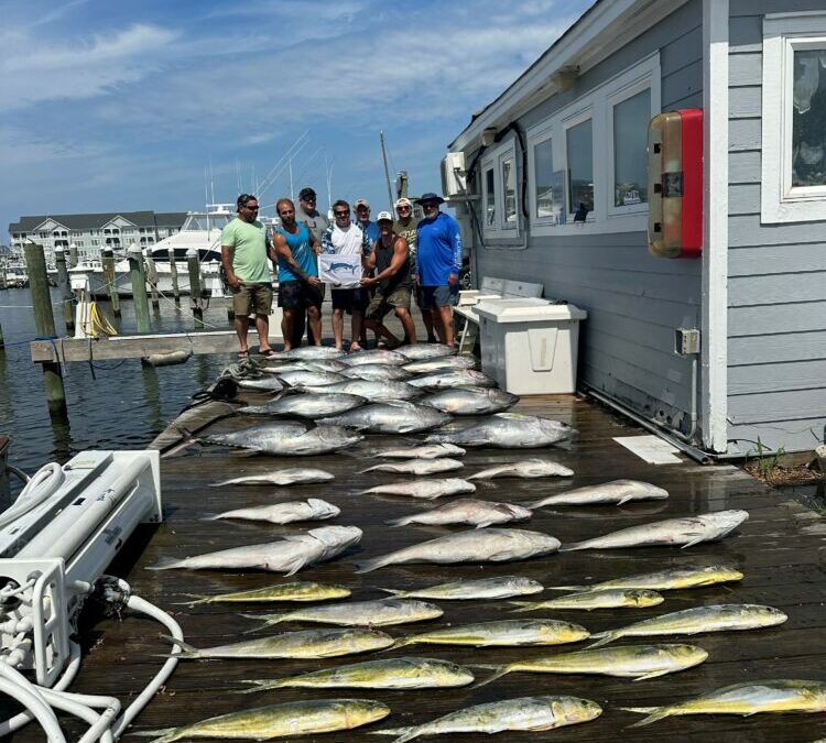 Meatfish Monday