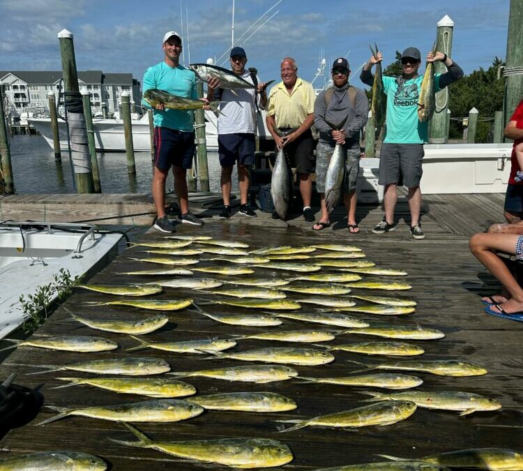 Tuesdays are for the Billfish!