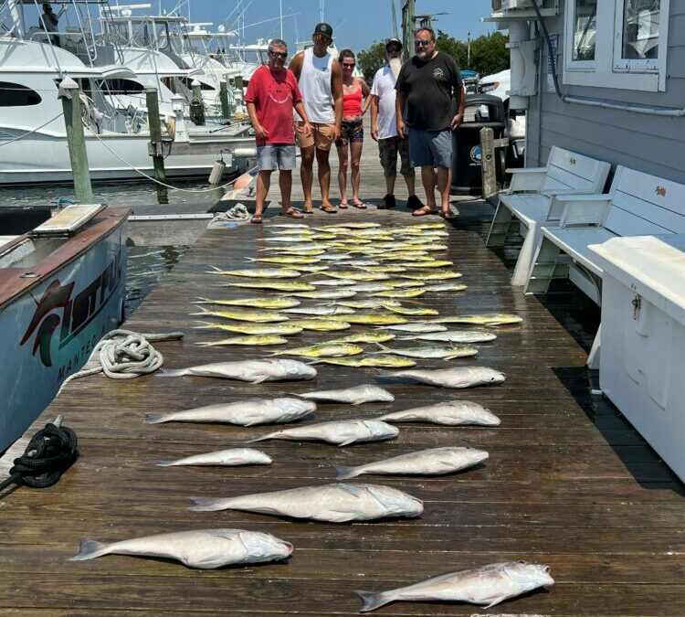 Meatfish Monday!