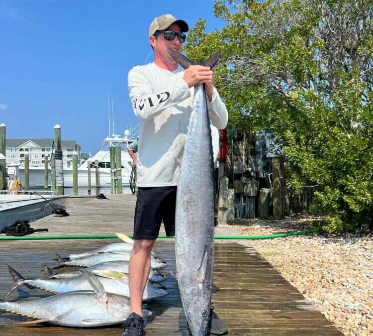 Tuna Tuesday!