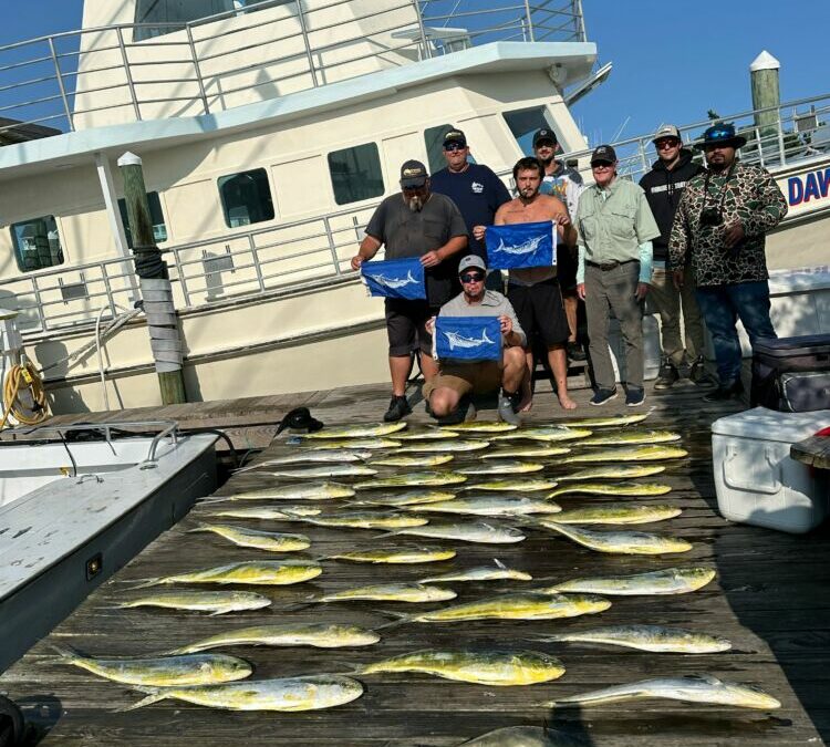 Marlins & Mahi!