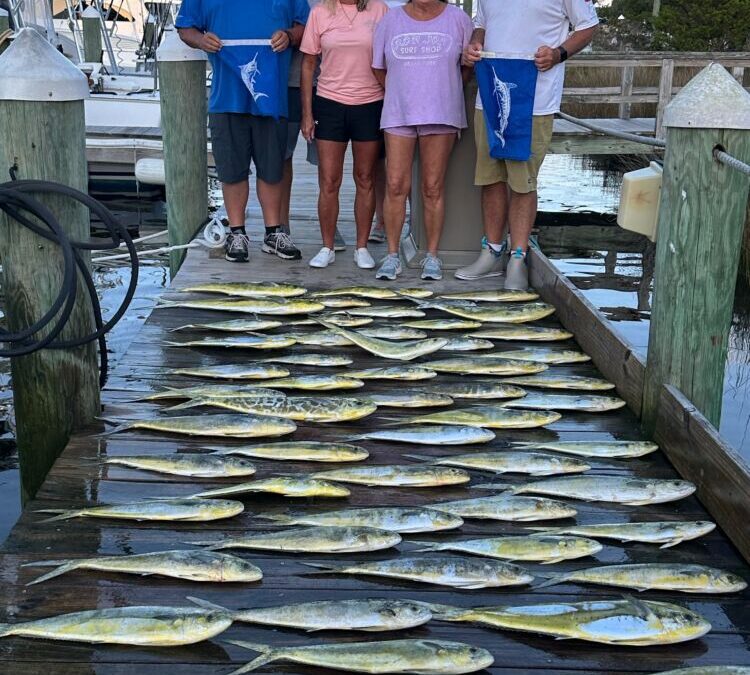 Mahi Monday