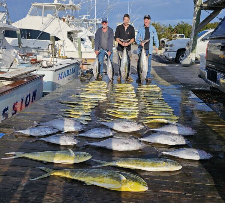 Fish Taco Tuesday