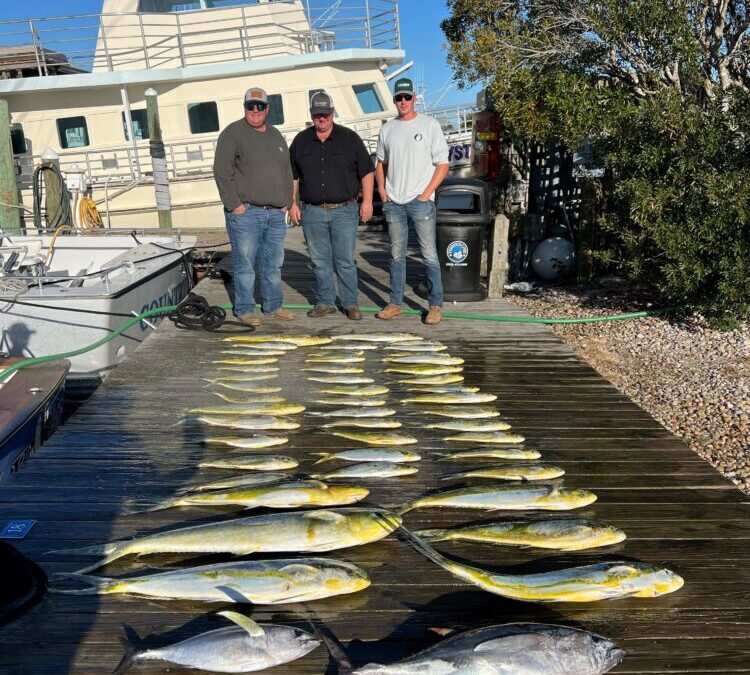 Mahi Monday