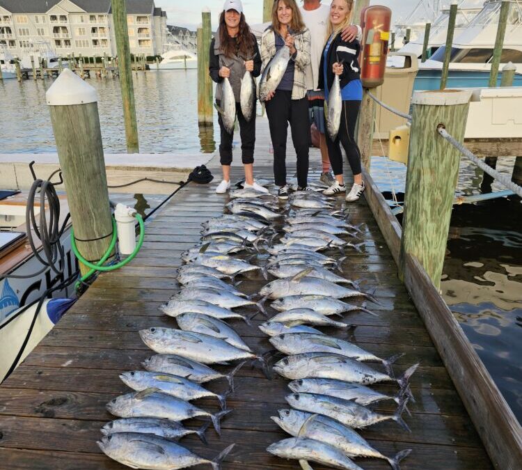 Blackfin Friday!