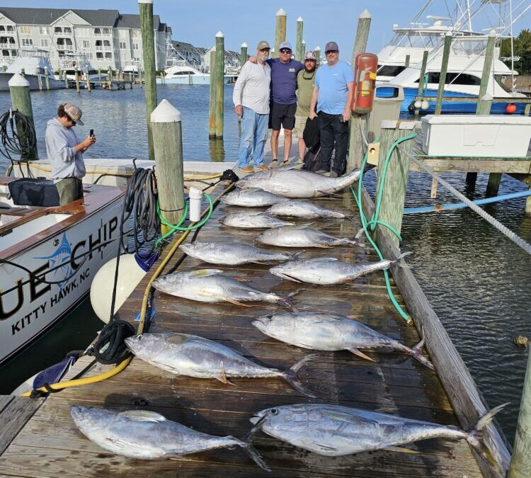 Talk About Tuna!