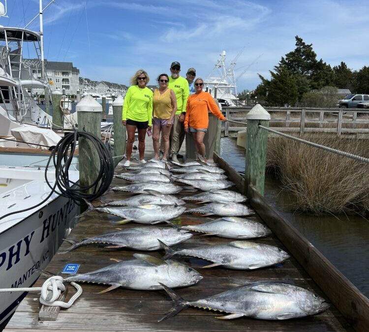 All the Yellowfin!