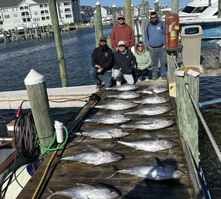 Catch of the Day!