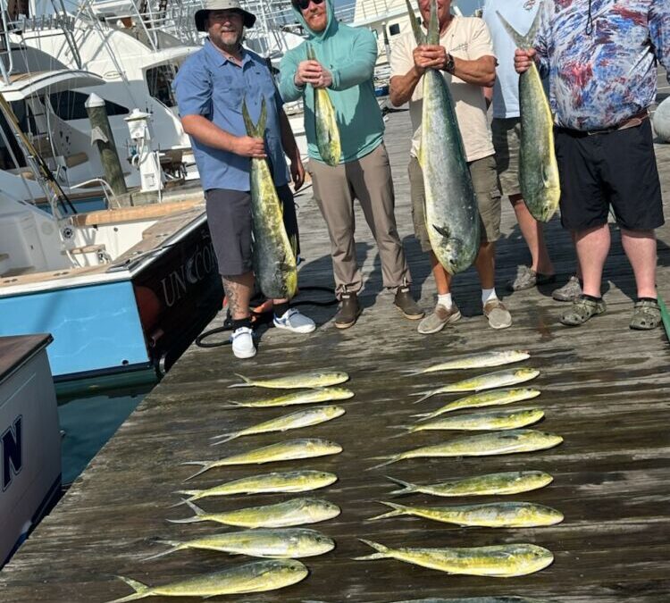 Fish Tacos Anybody?