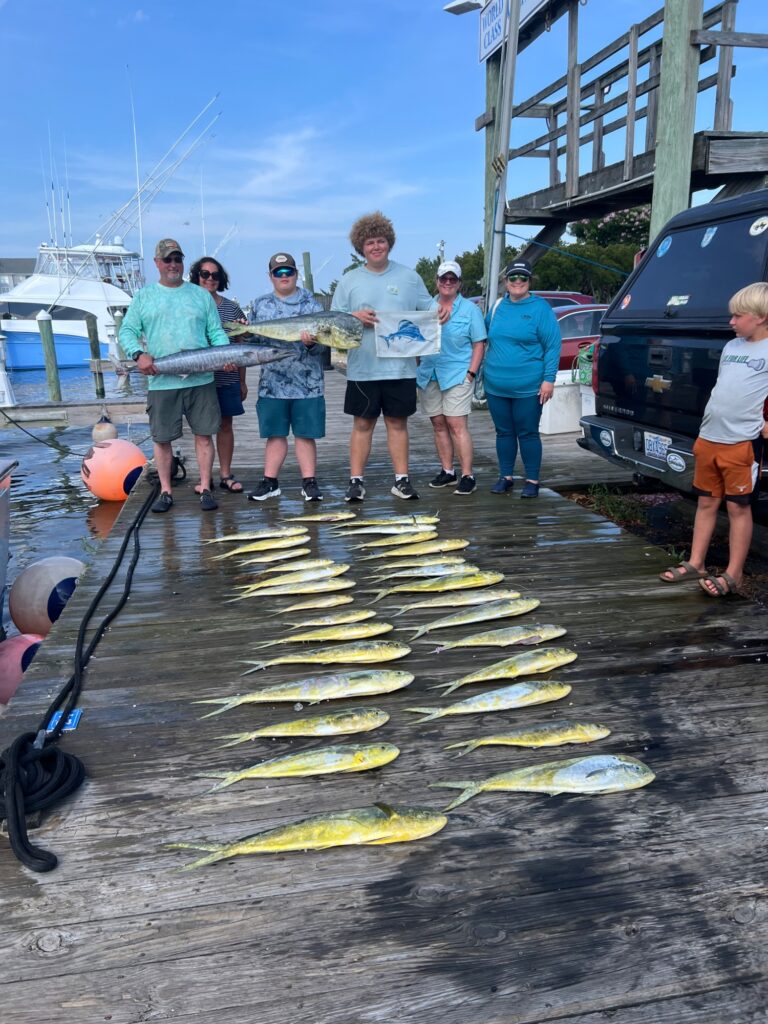 Sailfish Madness!