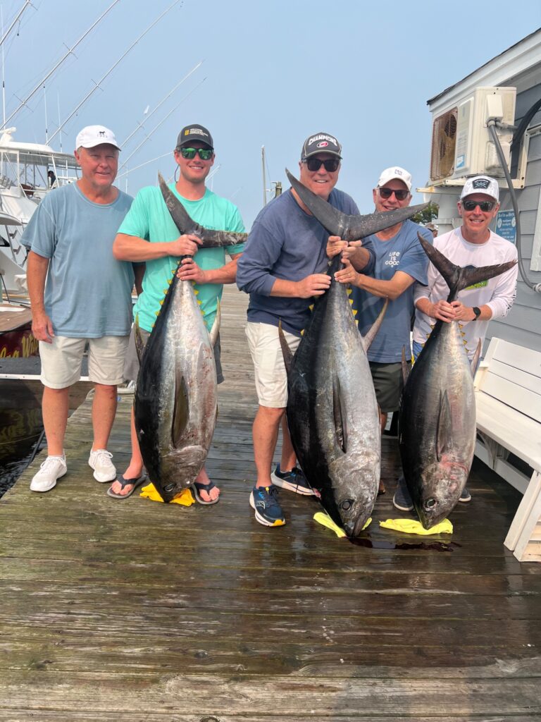 Tuna Thursday!