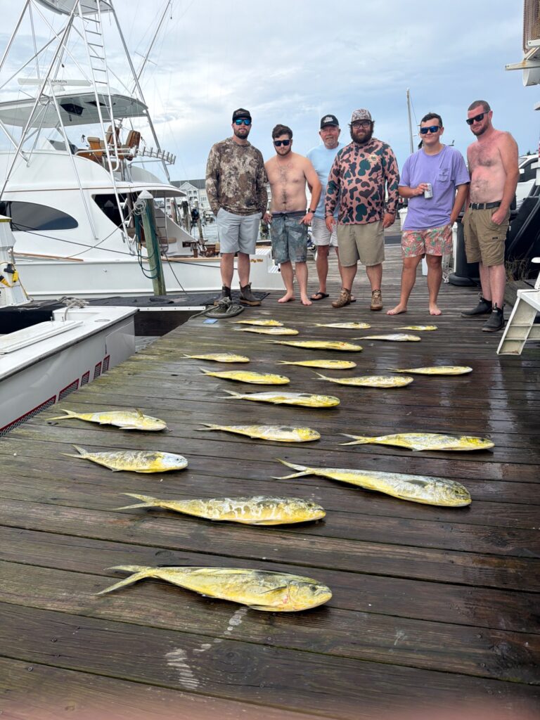 All Mahi All Day