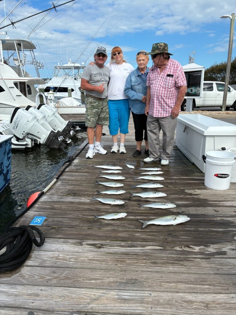 Tuesday Tuna