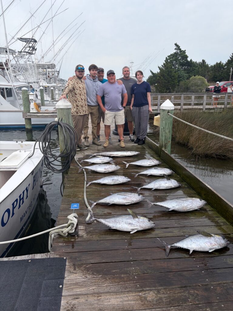 Friday Tuna Frenzy