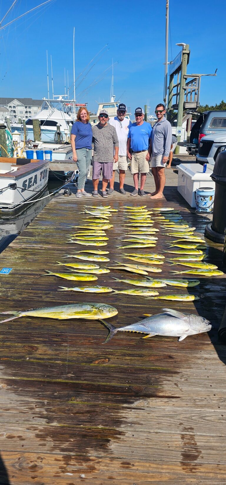 Fin-tastic Friday